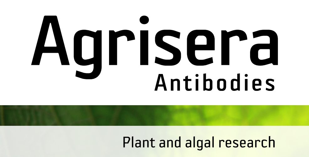 Agrisera MicroRNA相關(guān)研究植物蛋白抗體火熱促銷中！